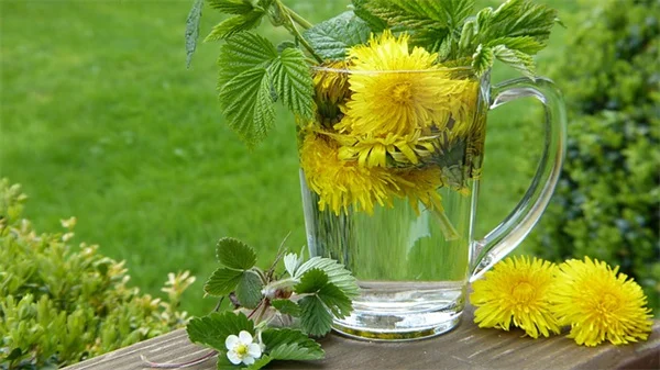 Vinegar Pickling 101: Quick Tips to Preserve Vegetables with 5% Acetic Acid