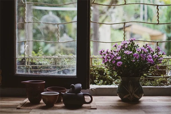 7 Cat Safe Cut Flowers for Your Bouquets