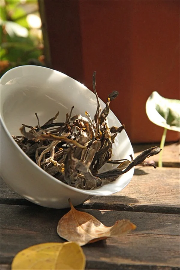 What's Eating Your Pecans? Identify and Save Your Harvest