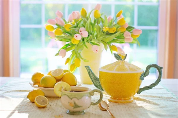 Caring for Plants in a Heat Wave: 5 Proven Tips That Work